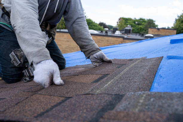 Best Residential Roofing Contractor  in Camp Verde, AZ